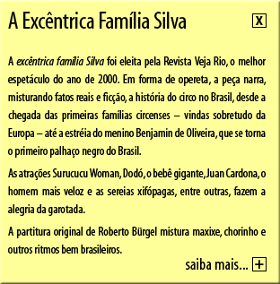 A Excntrica Famlia Silva