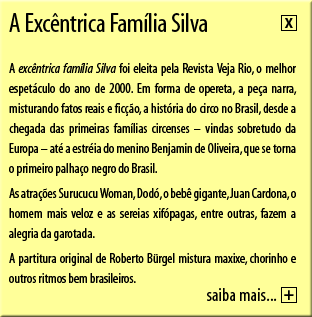 A Exc�ntrica Fam�lia Silva